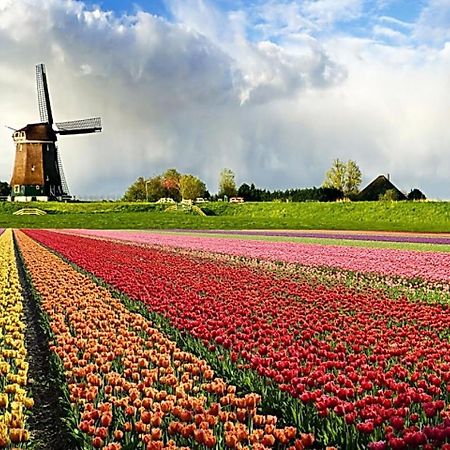 Logeren Op Dijk43 Hotell Broek op Langedijk Rum bild